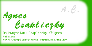 agnes csapliczky business card